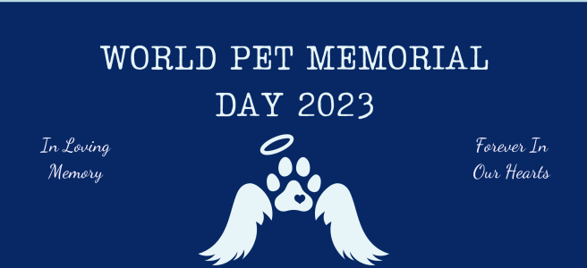 memorial pet day banner