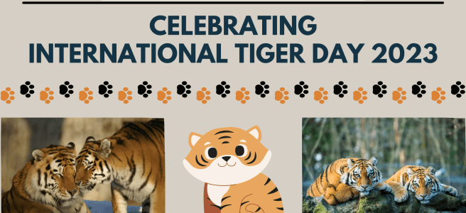 International Tiger Day 2023