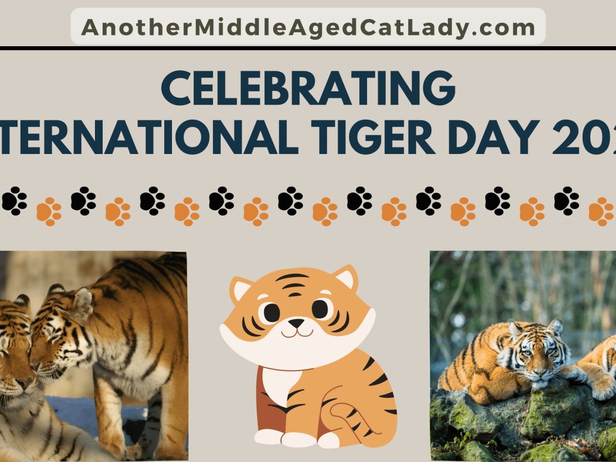 Roaring with Pride: Celebrating International Tiger Day&nbsp;2023